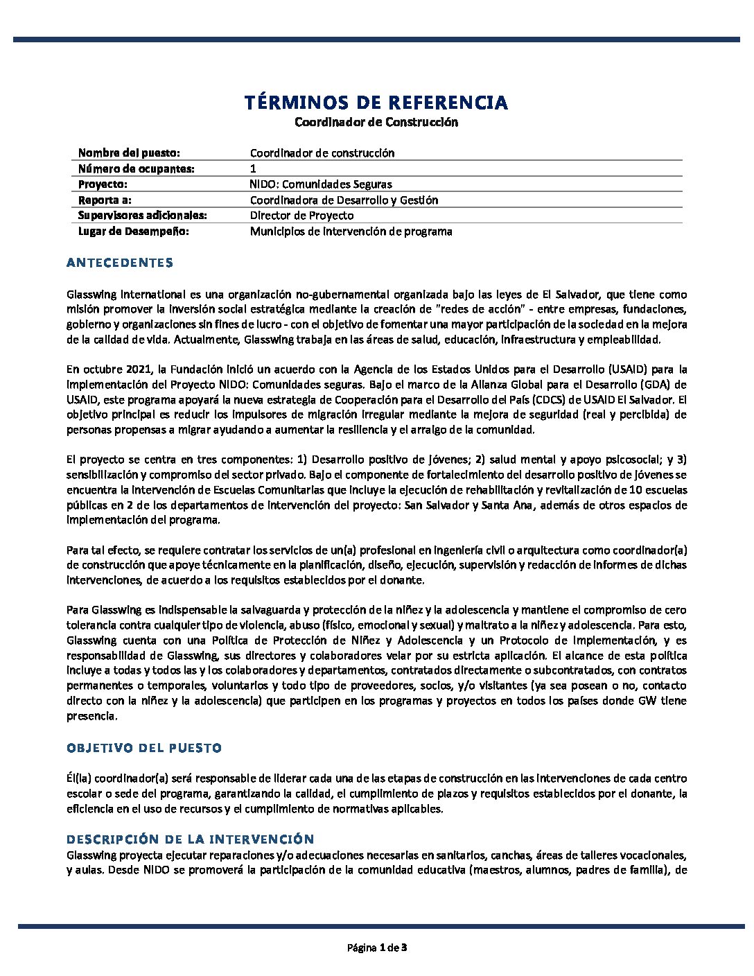 TDR Coordinador Construccion NIDO 2023