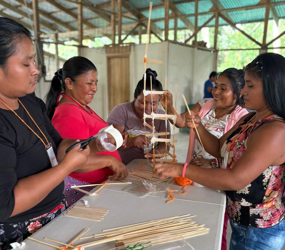 Entrepreneurship from the Roots: Building toward the future